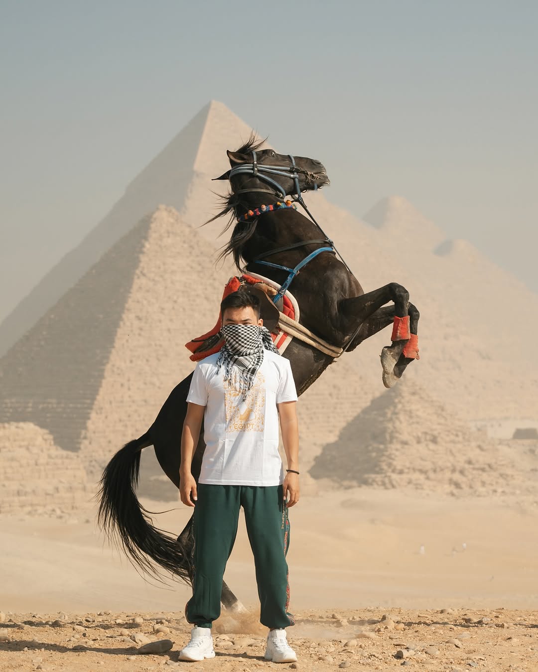 Arabian Horse Tour Around the Giza Pyramids