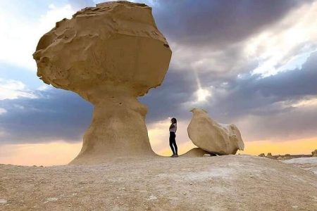 White Desert Safari Tours