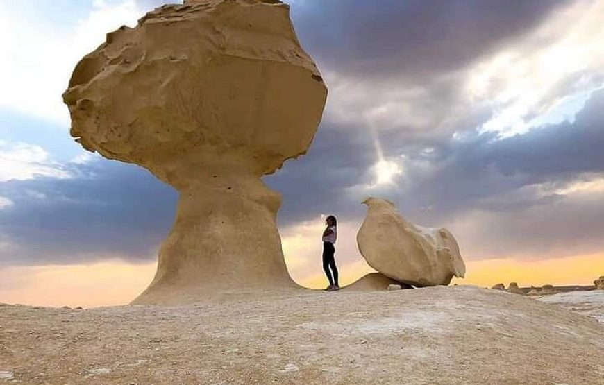Siwa & Bahariya Oasis Tour 6 Days / 5 Nights