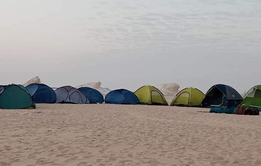 Siwa & Bahariya Oasis Tour 6 Days / 5 Nights