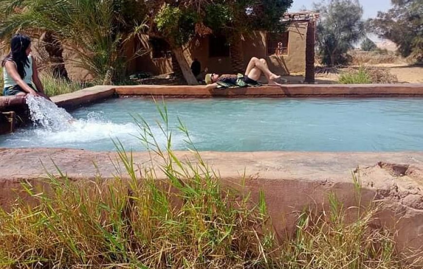 Siwa & Bahariya Oasis Tour 6 Days / 5 Nights