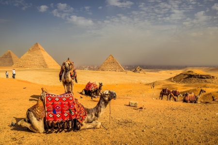 Camel or horse ride around Giza & Photography